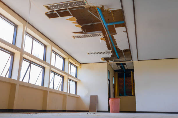 Best Water damage restoration mold remediation  in Townsend, MT