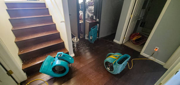 Carpet water damage restoration in MT