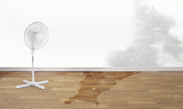 Best 24/7 water damage repair  in Townsend, MT