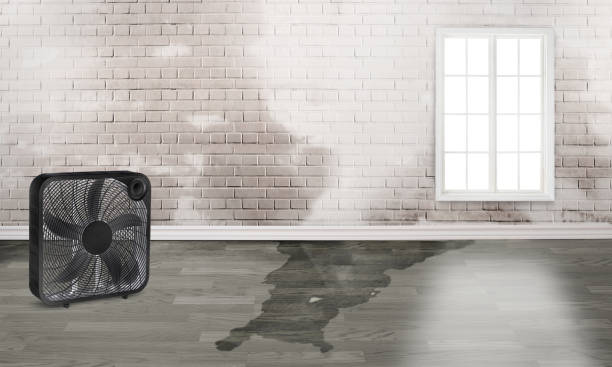  Townsend, MT Water damage restoration Pros