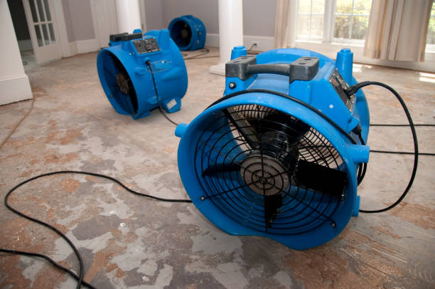 Carpet water damage restoration in MT