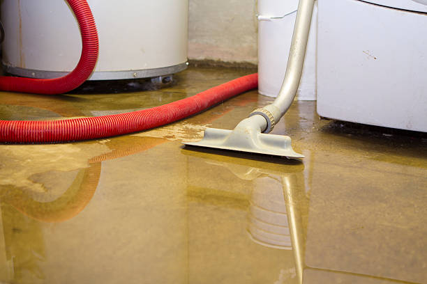 Sewage cleanup and water damage restoration in MT