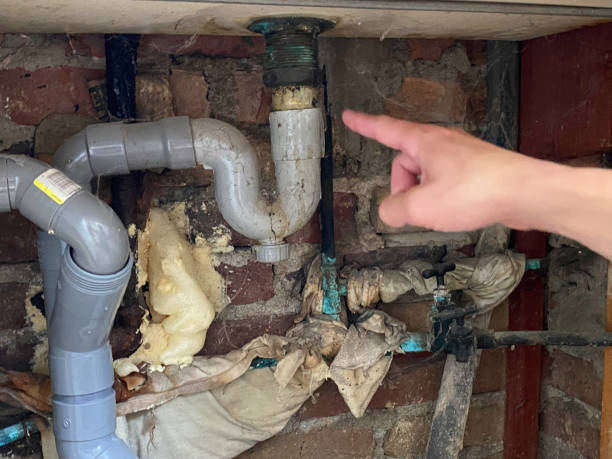 Best Commercial water damage restoration  in Townsend, MT